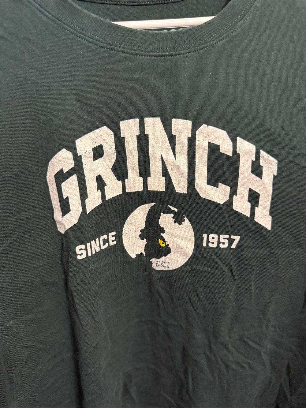 Life Is Good Crusher T‑Shirt in Dark Green with Mint Print